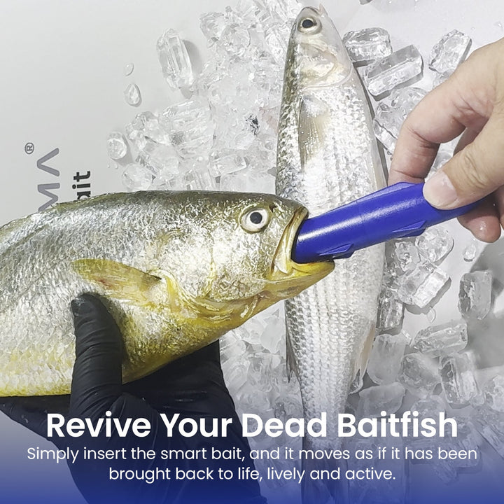 Kanama Smart Bait All-in-One
