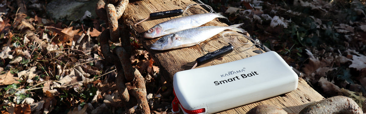 R Fish Smart Kanama Smart Bait | Electronic Fishing Lures & Smart Fishing Gear ...