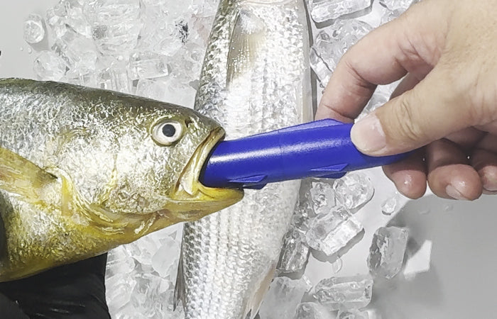 Kanama Smart Bait ProX